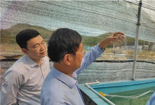 紅九棘鱸苗種批量化培育項(xiàng)目通過現(xiàn)場驗(yàn)收