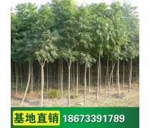 【豪杰紅木紅木荷花鎮(zhèn)紙筆筒筆洗三件套紅木商務(wù)禮品紅木筆筒筆洗鎮(zhèn)紙】海門市豪祥紅木工藝品廠 - 產(chǎn)品庫